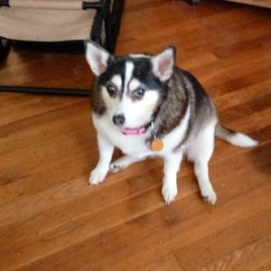 Meet your Posher, Debbie